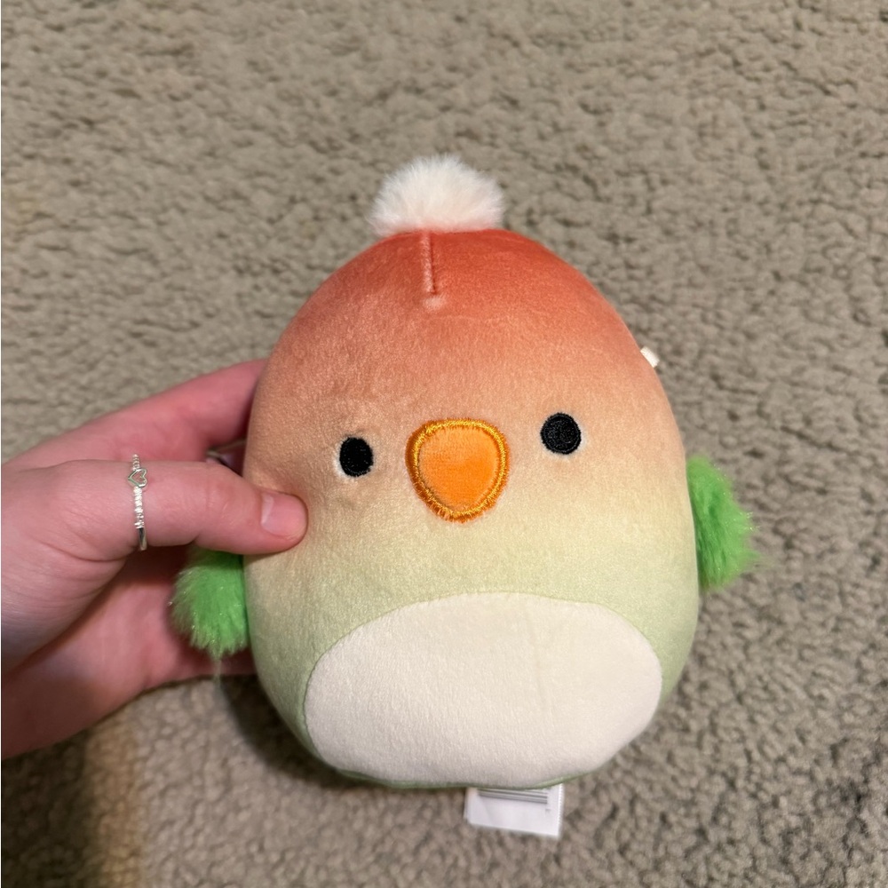 Multicolor Bird Squishmallow